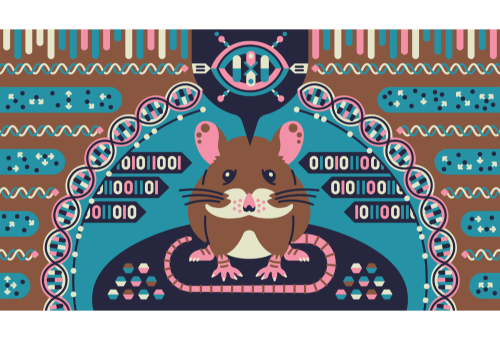 Seminar by Professor Carl Walkley; Talk title: Understanding editing dependent and editing independent functions of ADAR1 mediated regulation of “self” vs “non-self” discrimination of cellular RNA