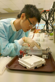 Zhejiang University - The University of Hong Kong Exchange Programme July 10-16, 2017 - Photo - 39